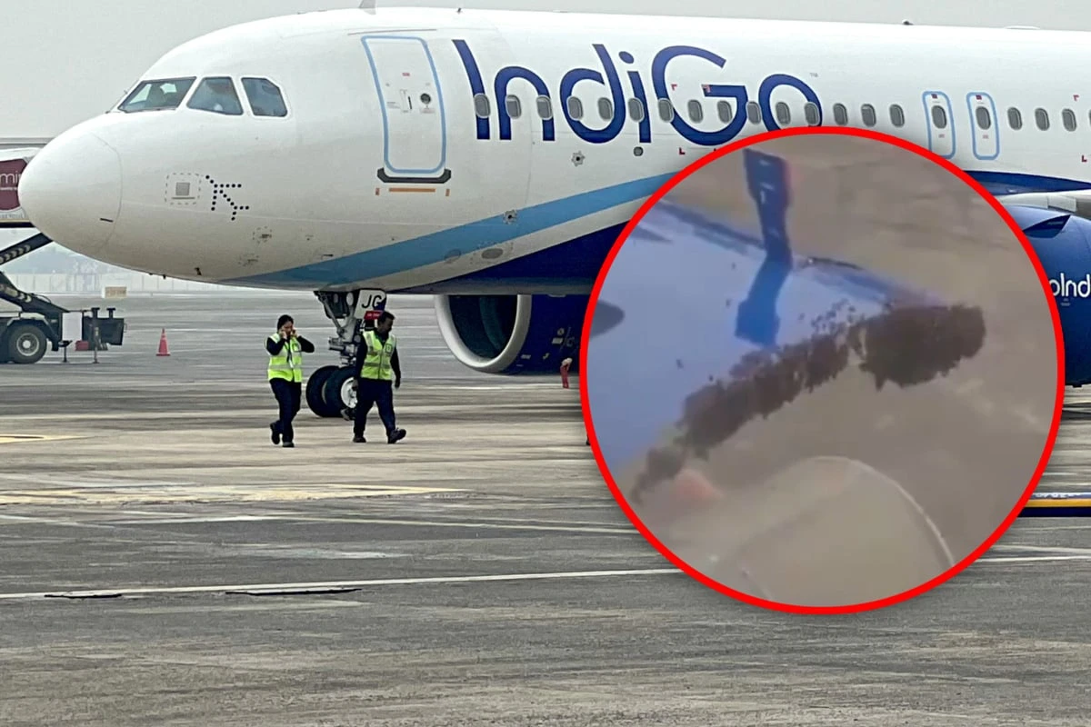 Flugzeug bereit zum Abheben, doch dann sorgen winzige Tiere für Chaos