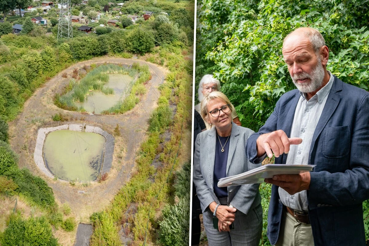 Zurück in die Steinzeit! So lebte Dresden vor 7000 Jahren