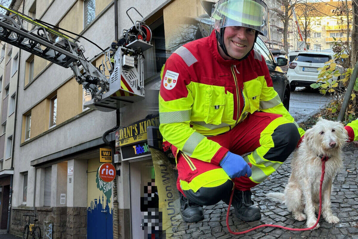 Feuerwehr durchsucht Brandwohnung: Plötzlich steht Vierbeiner vor den Rettern