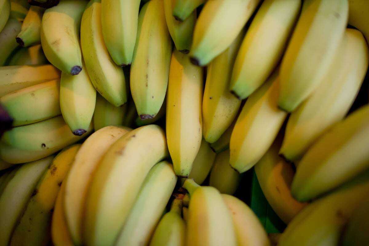 Tierischer Einsatz im Supermarkt! Spinne krabbelt aus Bananenkiste