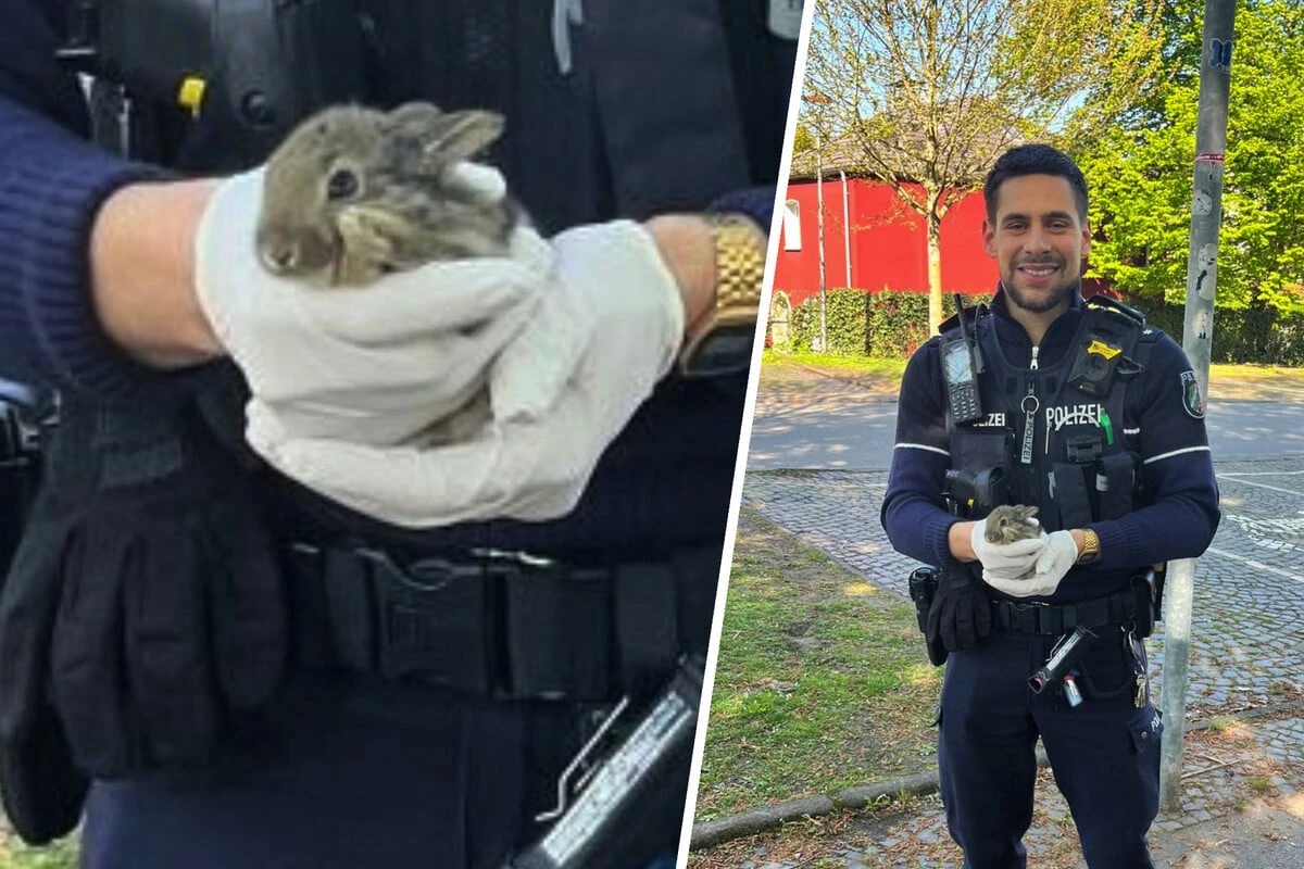 Kinder retten verwundetes Osterhäschen
