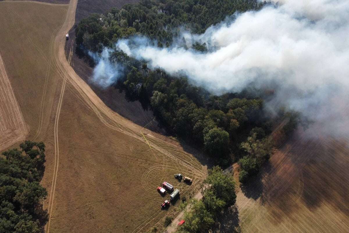 Erneuter Waldbrand in Brandenburg - Über fünf Hektar brennen in Gottberg