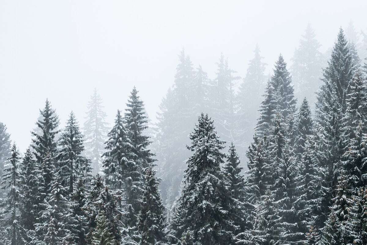 Schneefall im Ländle, doch am Wochenende wird es milder