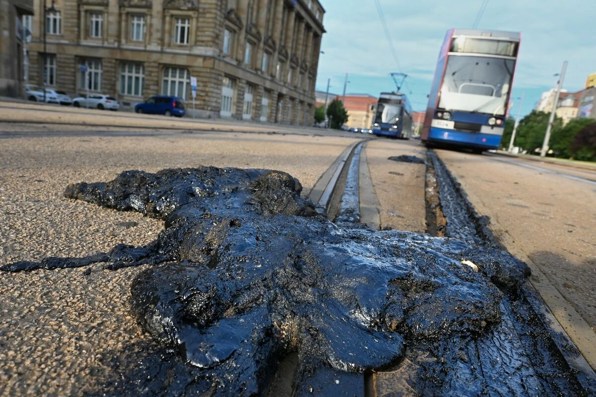 Schlimme Hitzeschäden in Leipzig: Erste Ergebnisse erst neun Wochen später