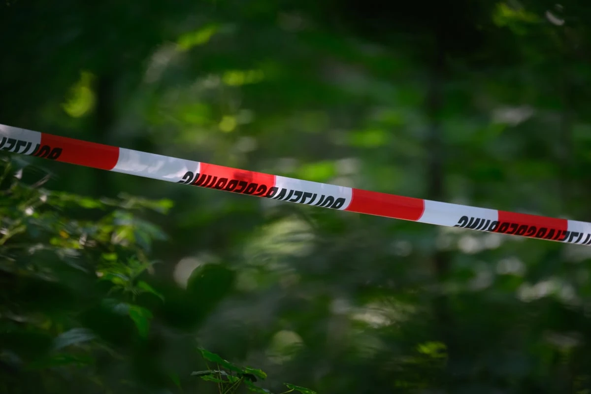 Mysteriöser Einsatz in Wald bei Köln: Mädchen nach Angriff von Mann verschwunden