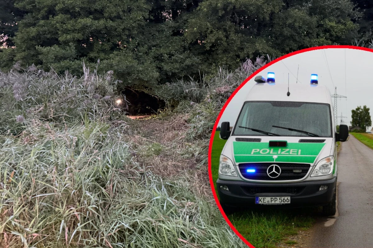 Leiche in Wald entdeckt: Polizei hat grausigen Verdacht