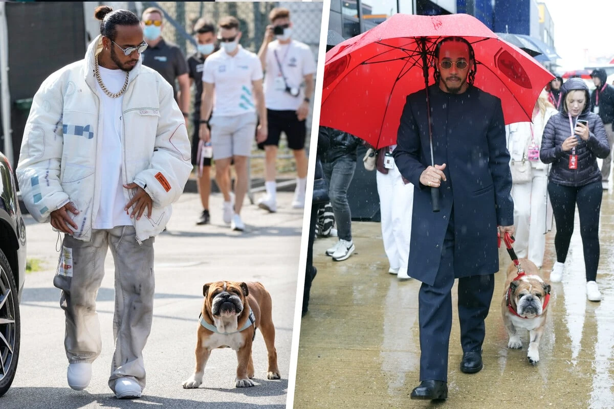 Roscoe starb in seinen Armen: Lewis Hamilton in tiefer Trauer