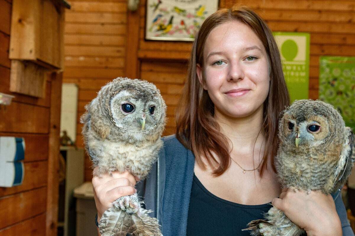 Guten Flug! Auffangstation hat ein Herz für Vögel