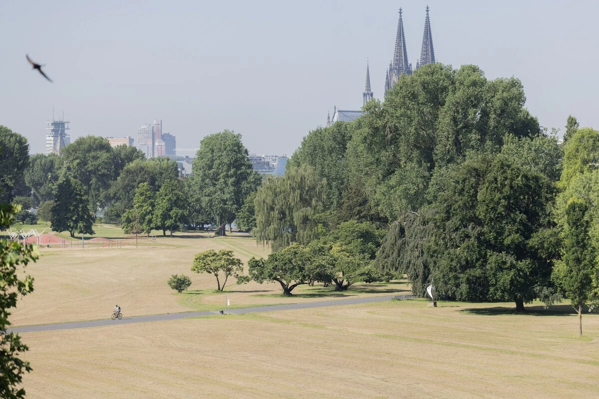 Glutofen oder Abkühlung? So wird das Wetter zum Wochenende