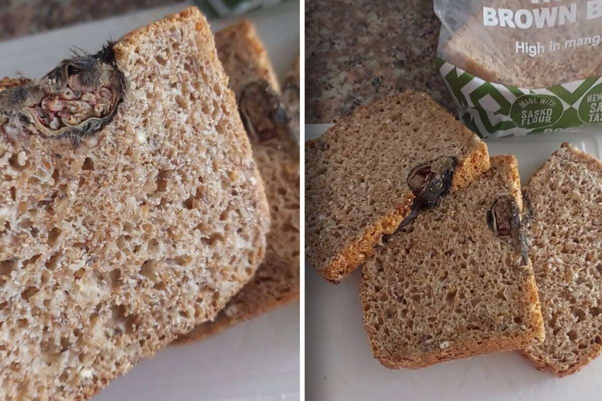 Frau kauft Toastbrot im Supermarkt: Doch was sie darin findet, ist einfach nur widerlich