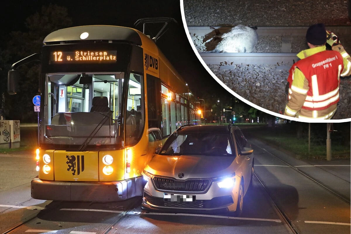 Zwei Straßenbahn-Unfälle in einer Nacht: Auto gerammt, Wildschwein überfahren