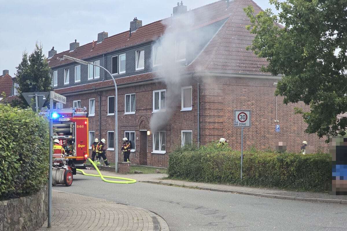 Zimmerbrand! Feuerwehr rettet drei Katzen