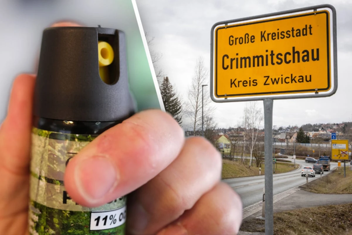 Gesuchter Mann attackiert Polizist: Junger Beamter dienstunfähig!