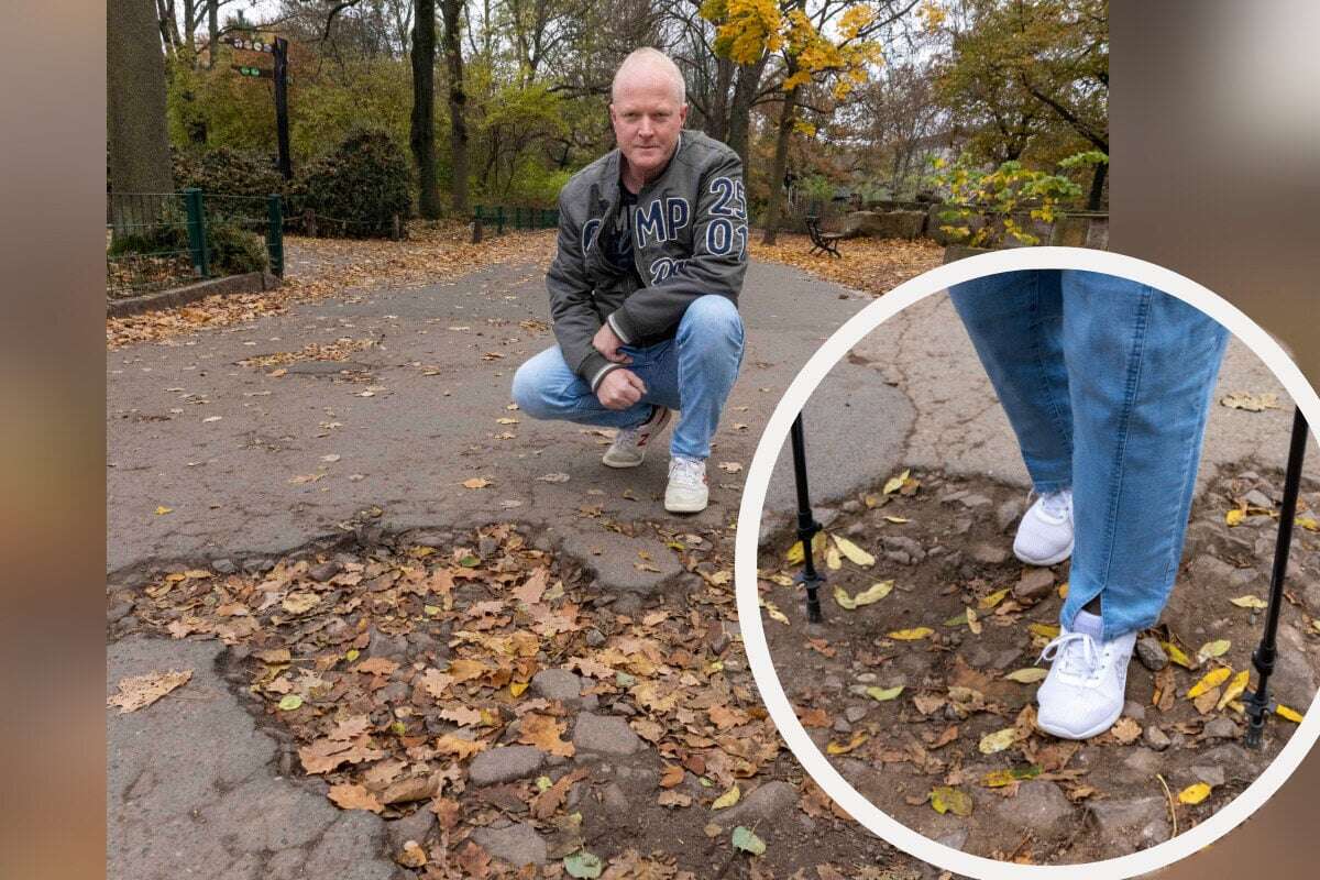 Ärger um Barrierefreiheit: Buckelpiste im Zoo bereitet Besuchern tierisch Probleme