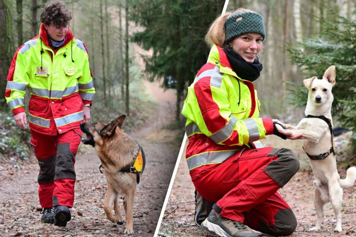 Chemnitzer Hundestaffel sucht dringend Nachwuchs