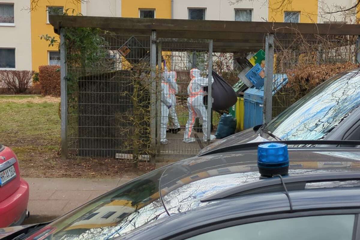 Polizei nimmt auffällige Frau fest, kurz darauf findet sie in ihrer Wohnung eine Leiche