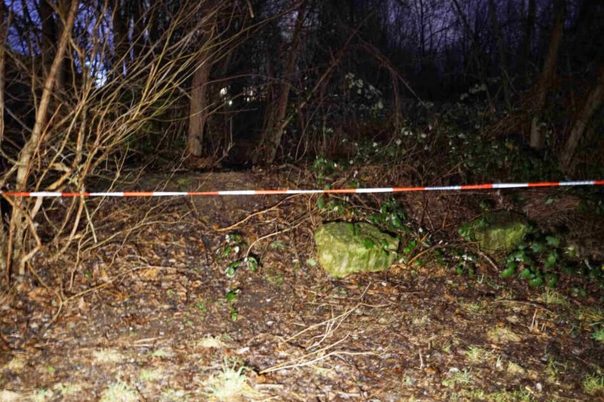 Baby-Leiche im Gebüsch entdeckt: Drei Jahre später sucht die Polizei noch immer nach der Mutter