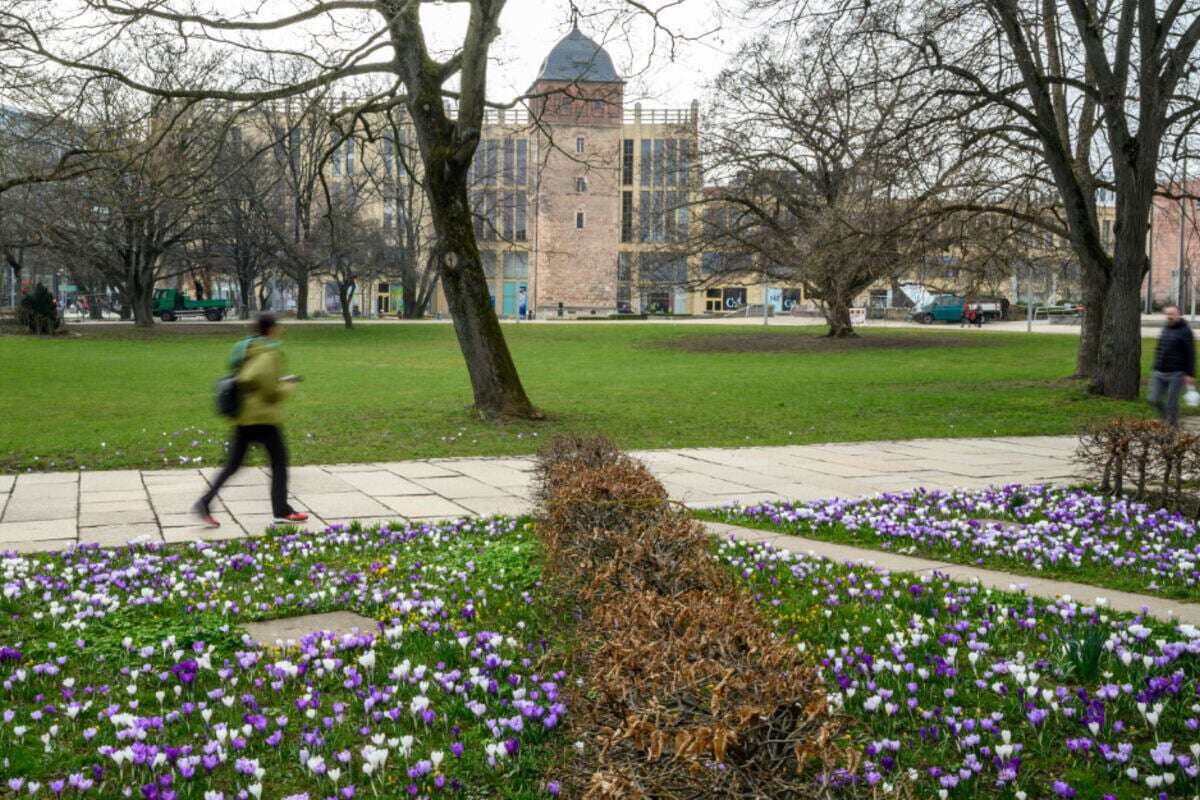 Mann entblößt sich im Stadthallenpark vor drei Frauen