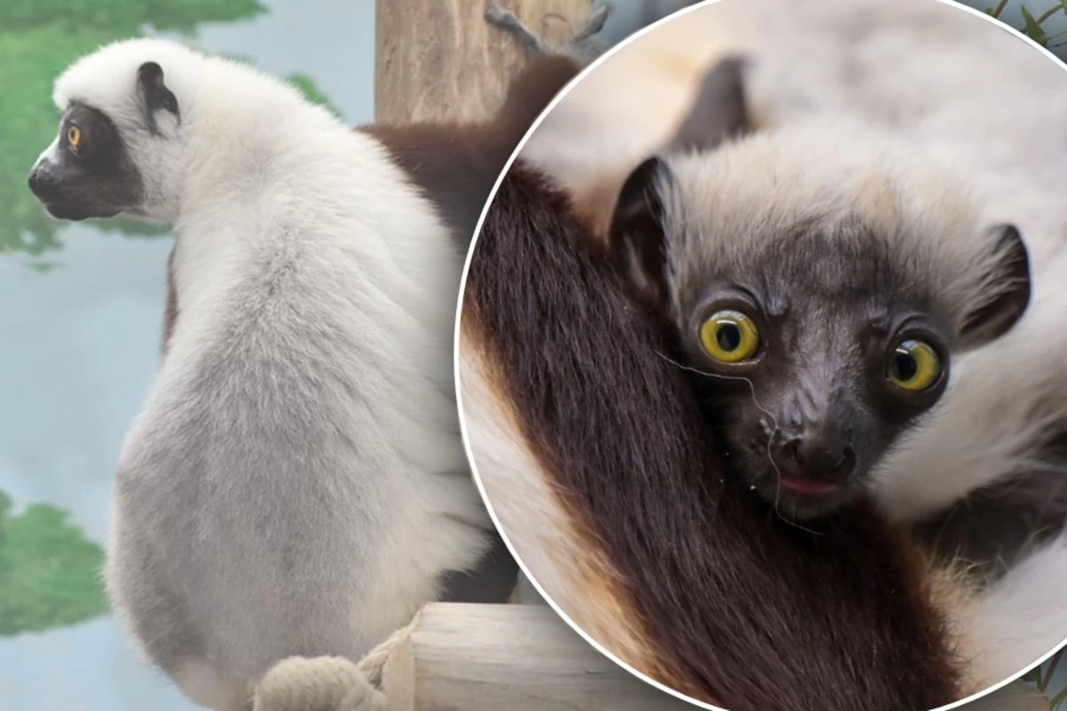 Zoo freut sich über 