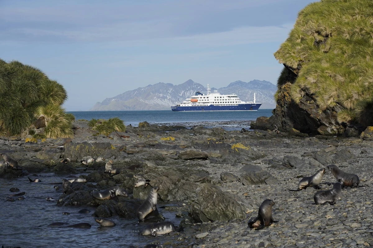 Drei Tote auf Kreuzfahrt-Schiff! Gefährliches Virus soll schuld sein