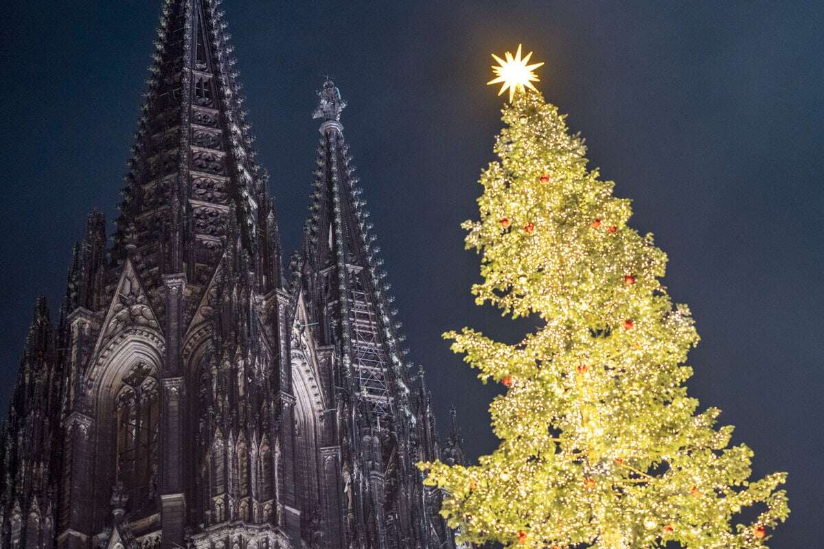 Kölner Weihnachtsbaum punktet im Großstadt-Ranking: Hier ist die Domstadt einsame Spitze