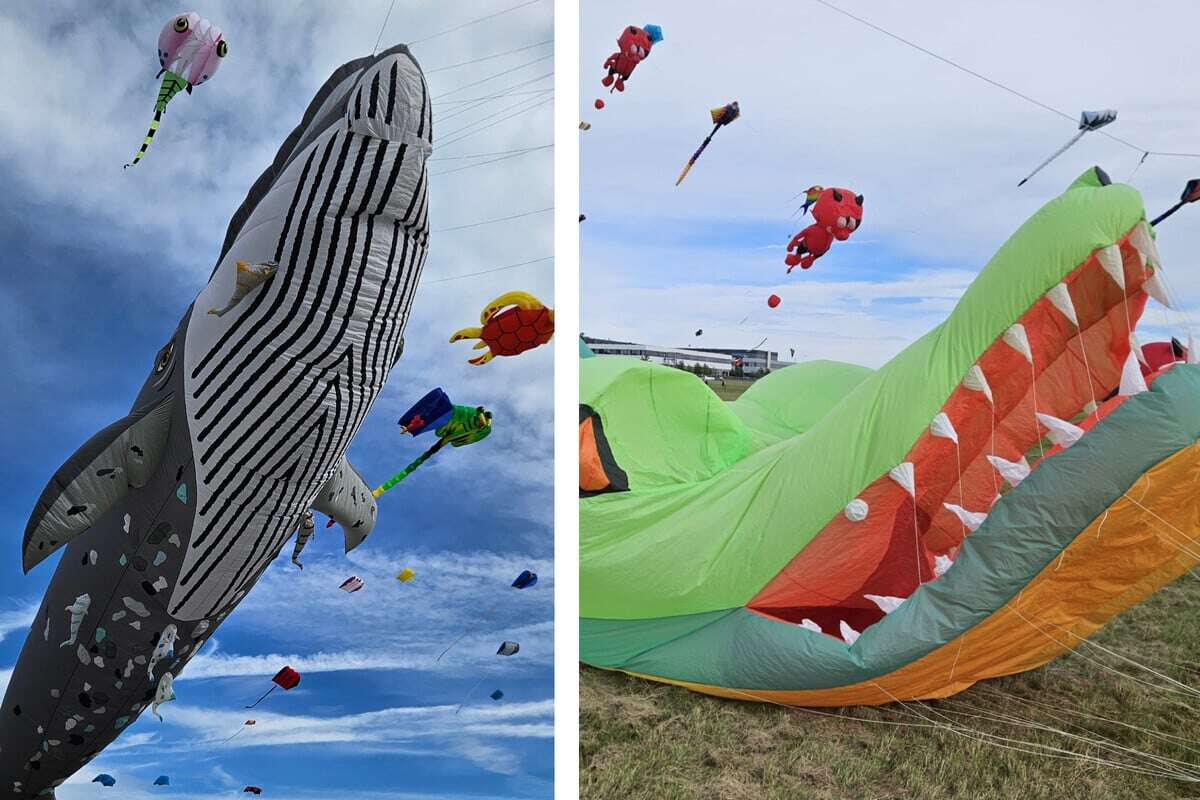 Ausflugstipp: Drachenfest! Hier bekommt Ihr großes Kino an der frischen Luft