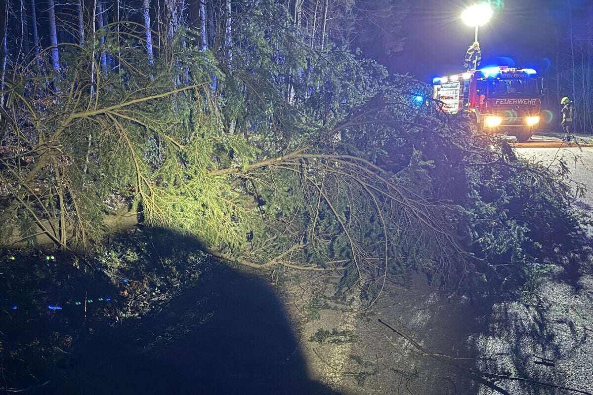 Zahlreiche Feuerwehreinsätze: Sturmtief wütet im Erzgebirge