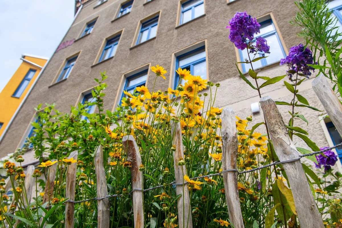 Umweltpreis Sachsen-Anhalt wurde verliehen: Und die Gewinner sind ...