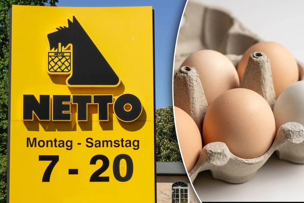Nur zwei Packungen pro Kunde! Erster Eier-Engpass im Supermarkt