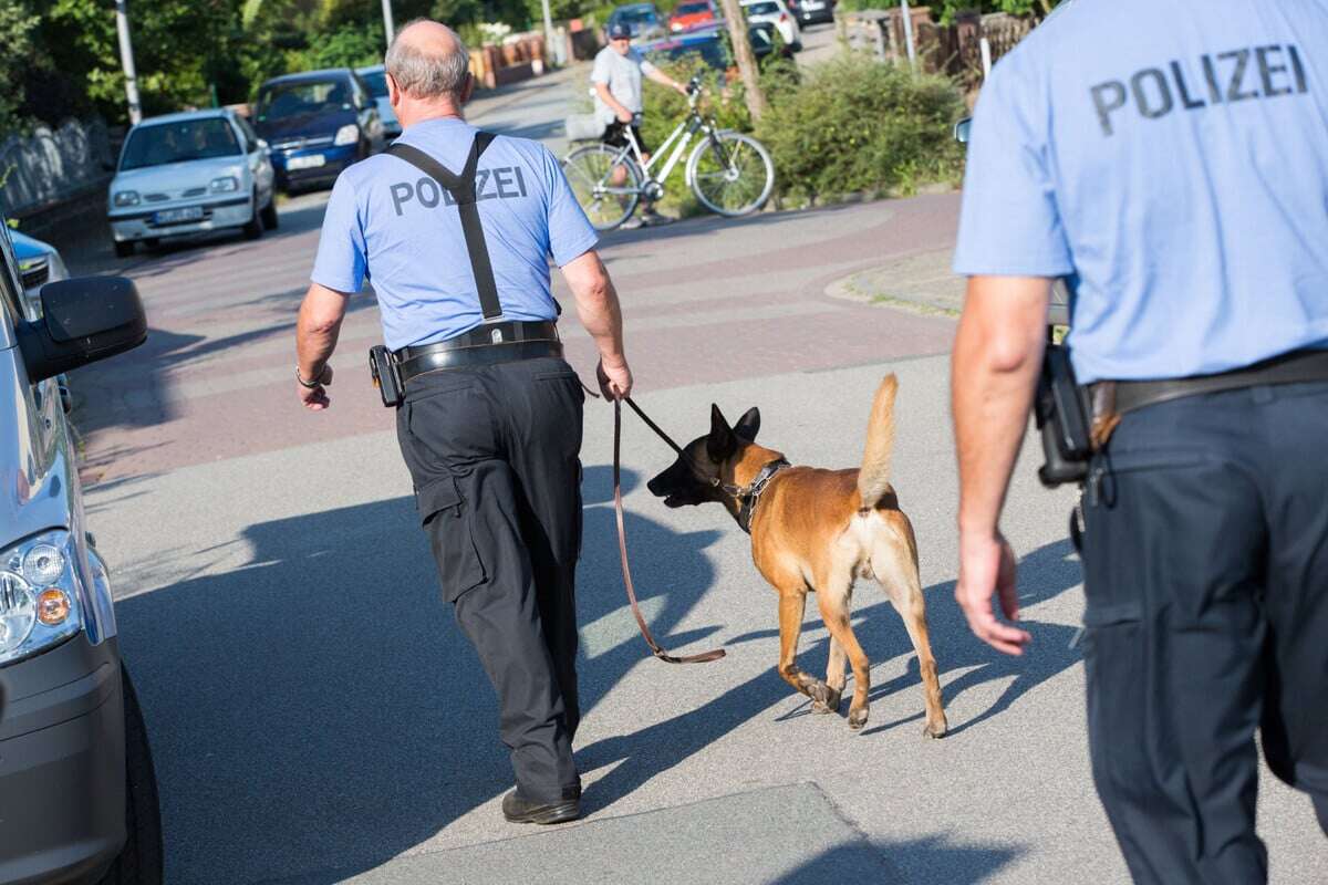 Drogenfund im Harz: Verkehrskontrolle führt zu Hausdurchsuchung