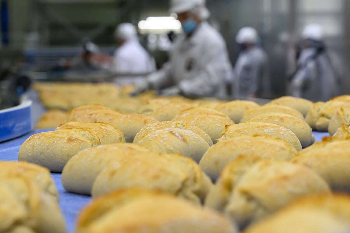 Mehr Fläche, mehr Mitarbeiter, mehr Brötchen: Ostdeutsche Großbäckerei mit XXL-Investition