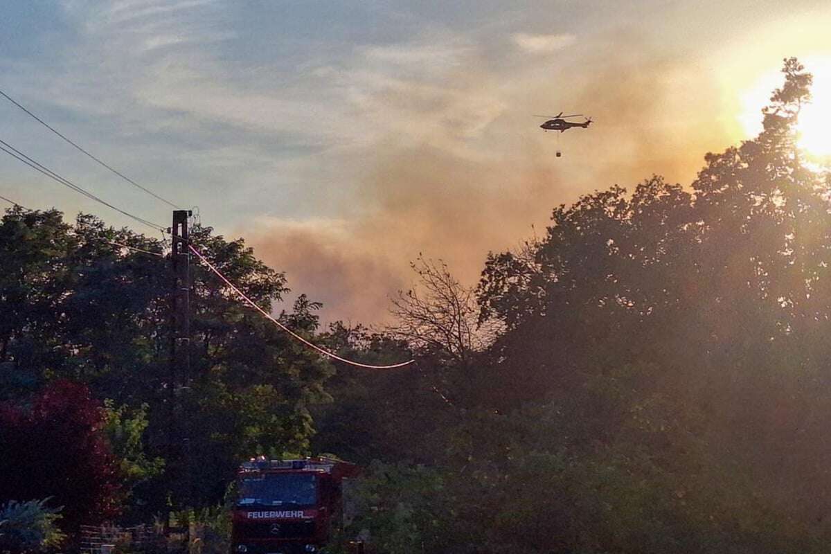 Waldbrand! Feuerwehr im Großeinsatz, Bundesstraße gesperrt