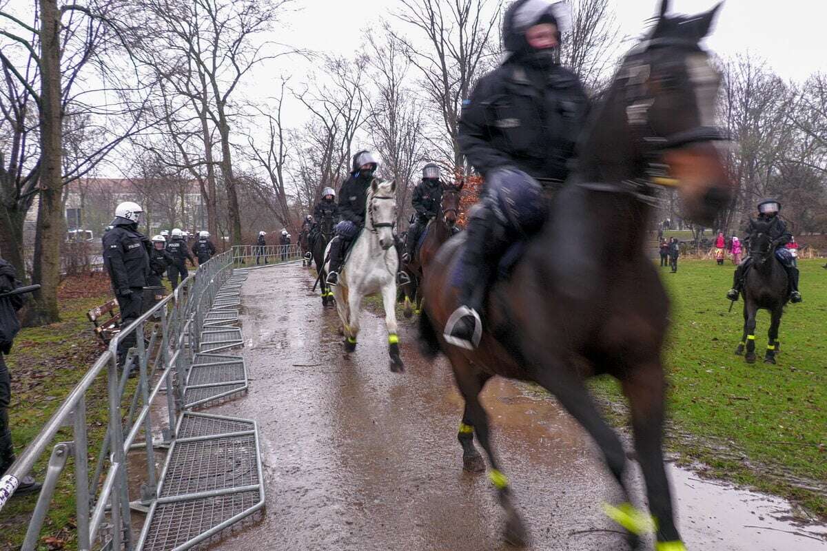 Mit Blaskapelle auf Fußball-Fans vorbereitet: So hart trainiert die sächsische Reiterstaffel