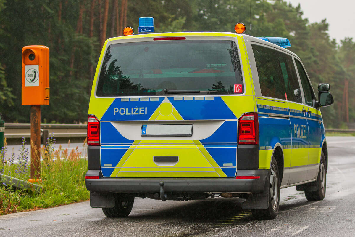 Brutaler Messermord in Wald? Polizei teilt wichtige Botschaft