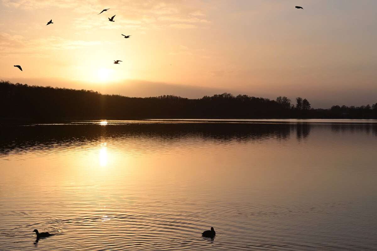 Wandlitzer See bald in anderen Händen? Gemeinde erhält Kaufangebot