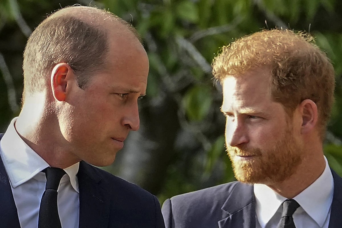 Nach dem Wiedersehen von Harry und Charles: William soll gegen das Treffen gewesen sein