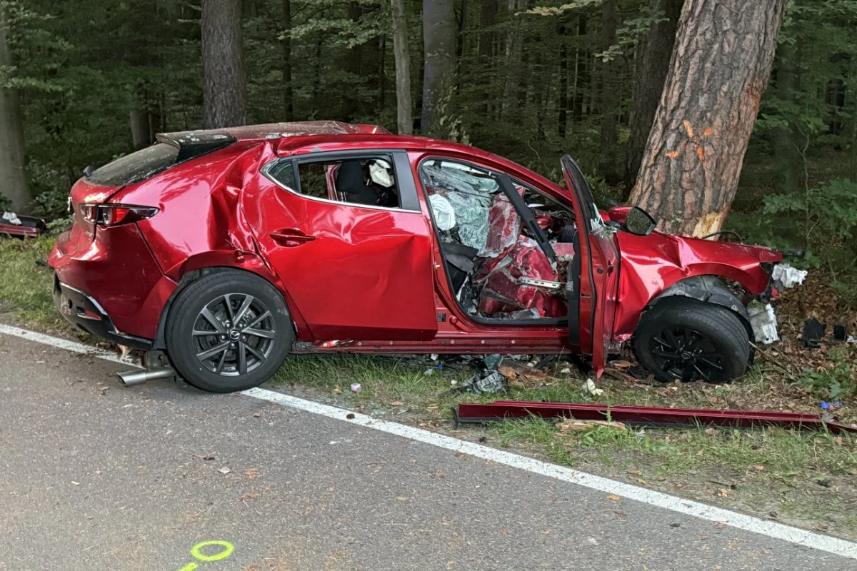Frontal gegen Baum: Ersthelfer kommen nicht einmal an Fahrer (†29) ran