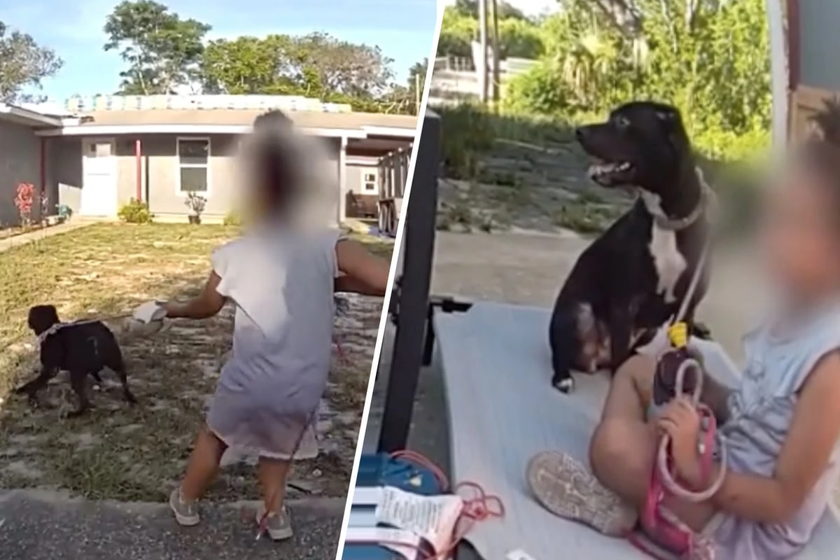 Mutter setzt sechsjährige Tochter und Hund auf Straße aus: Details schockieren