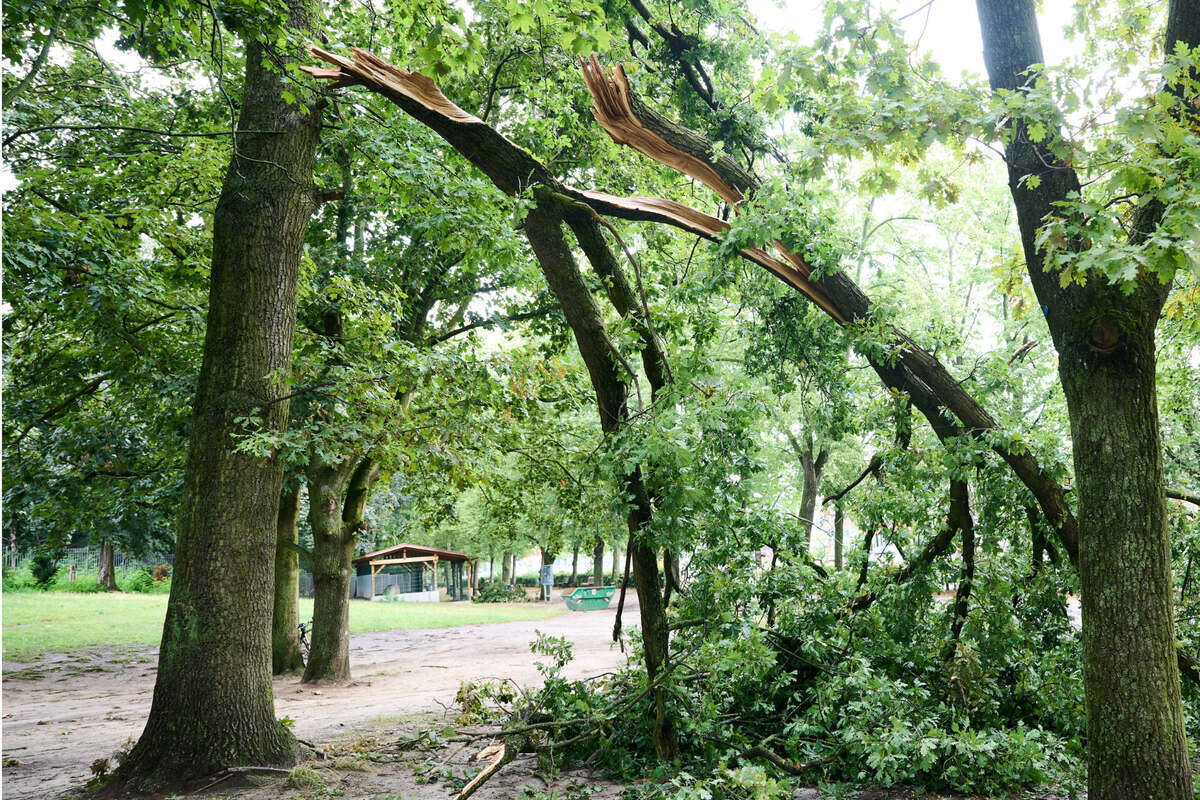 Unwetter-Warnungen für Sachsen-Anhalt: Ex-Hurrikan Kirk bringt kräftigen Sturm ins Land