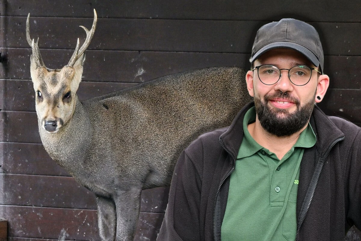 Wie die Superhelden aus dem Kino: Warum Dresdens Zoobewohner plötzlich Marvel-Namen tragen