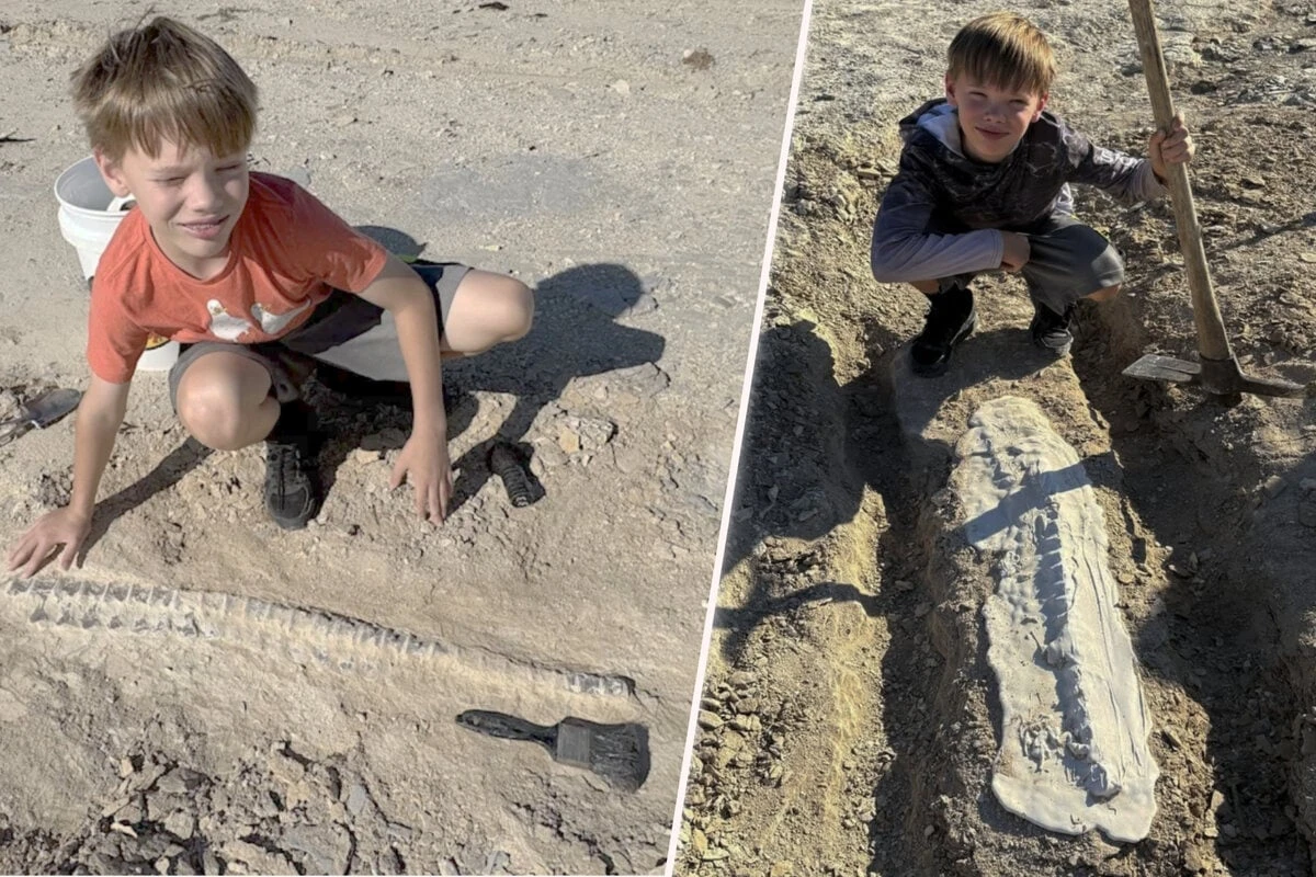 Wahnsinn beim Schulausflug: Was dieser Junge ausgräbt, ist eine Sensation