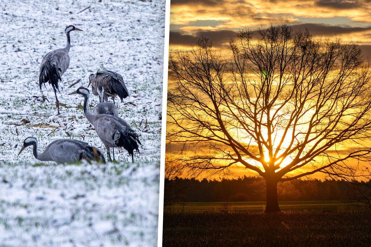 Winter ade? Erstes Februar-Wochenende bringt mildes Wetter! Hier könnt Ihr Euch auf Sonne freuen