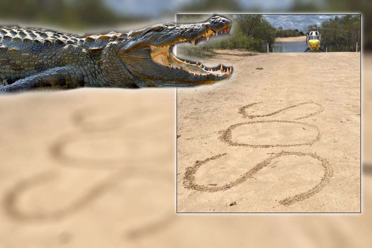 Tagelanger Überlebenskampf: Paar in Wildnis von Krokodil verfolgt