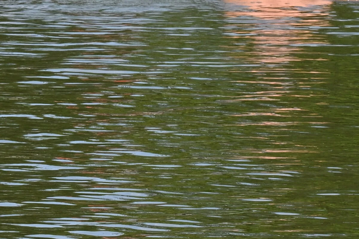 Zeugen bemerken Gegenstände an See: Große Suche bringt traurige Gewissheit