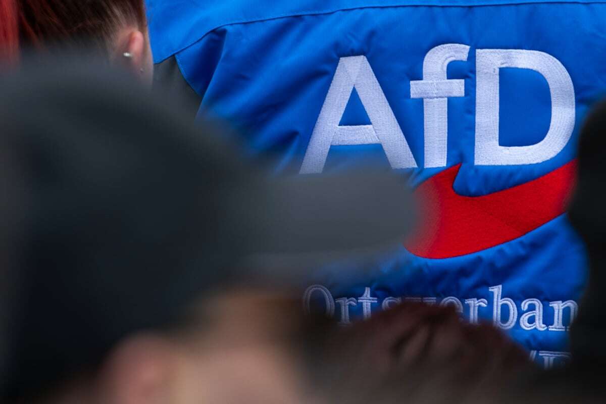 Bundestagswahl: AfD droht Millionen-Strafe wegen Rekord-Spende