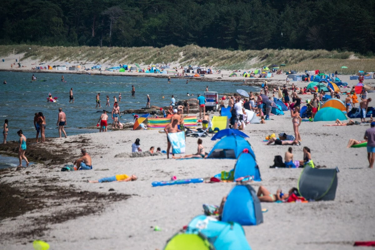 Killer-Bakterien zurück in Nord- und Ostsee! Hitze steigert das Risiko