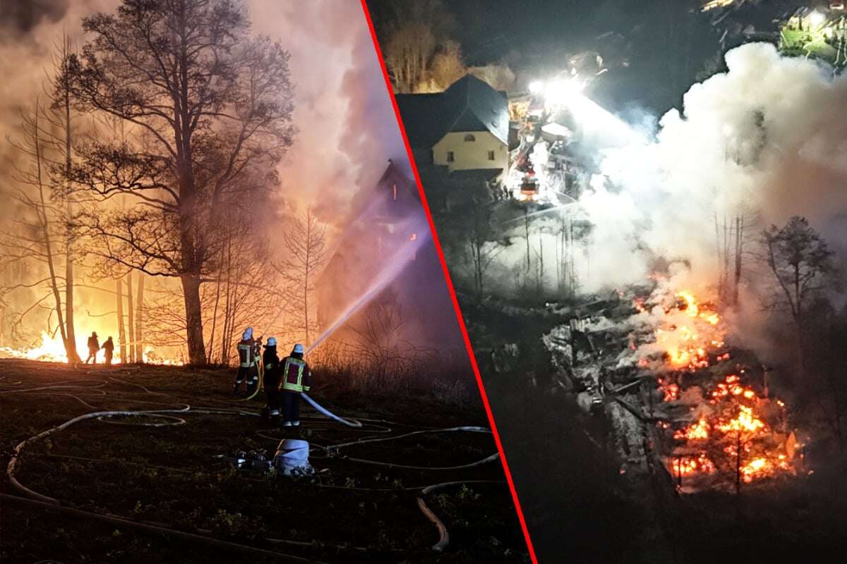 Flammeninferno zerstört Sägewerk: Mehr als 200 Feuerwehrleute im Einsatz