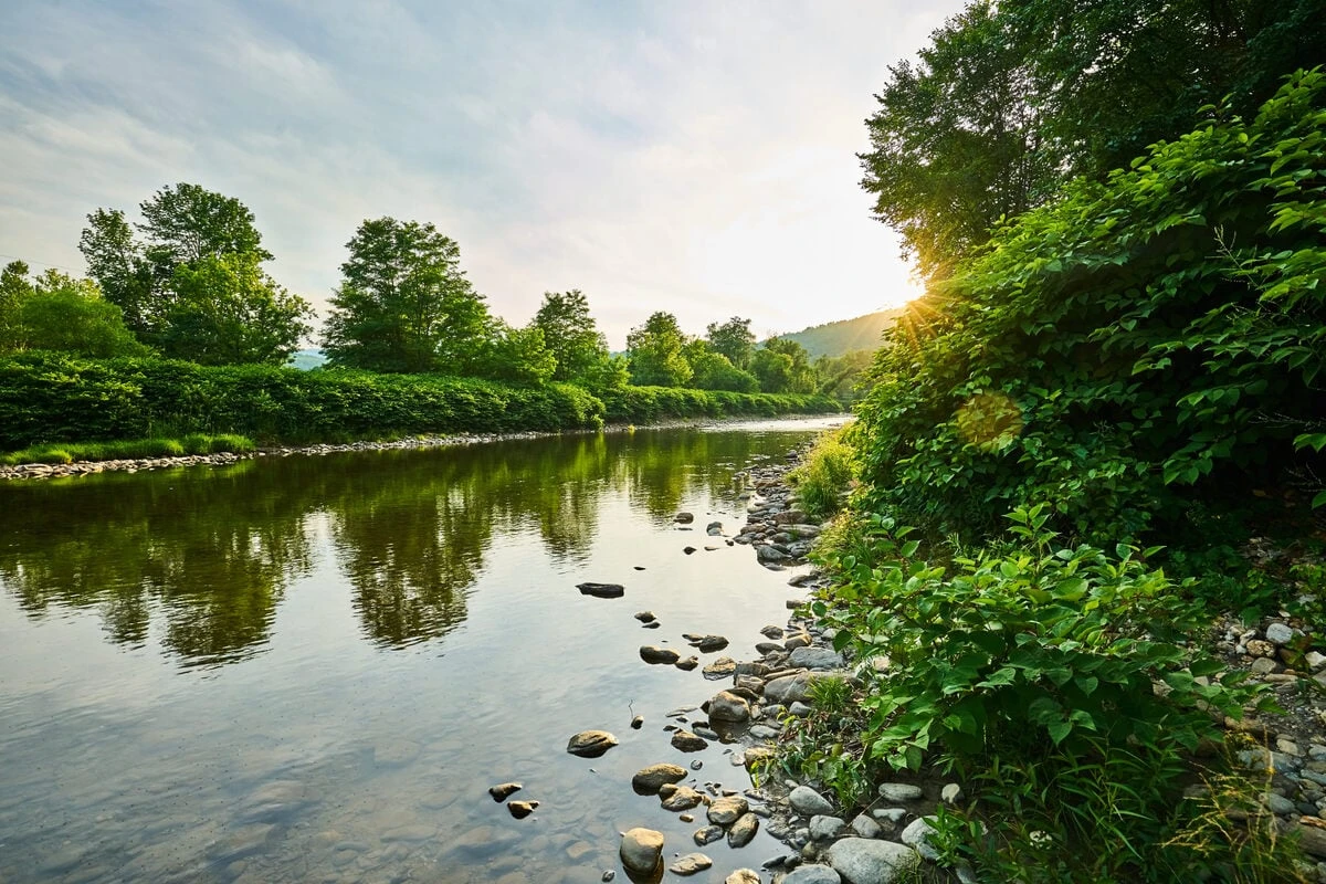 Für neue Zufahrt: Hochwasserschutzwand an sächsischem Fluss wird geschlitzt