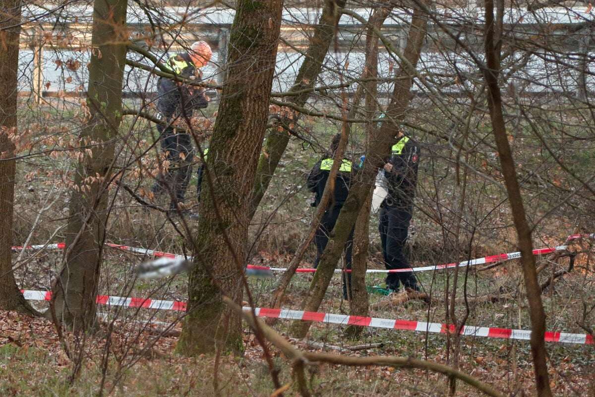 Leiche an Autobahn hinter Wildschutzzaun gefunden