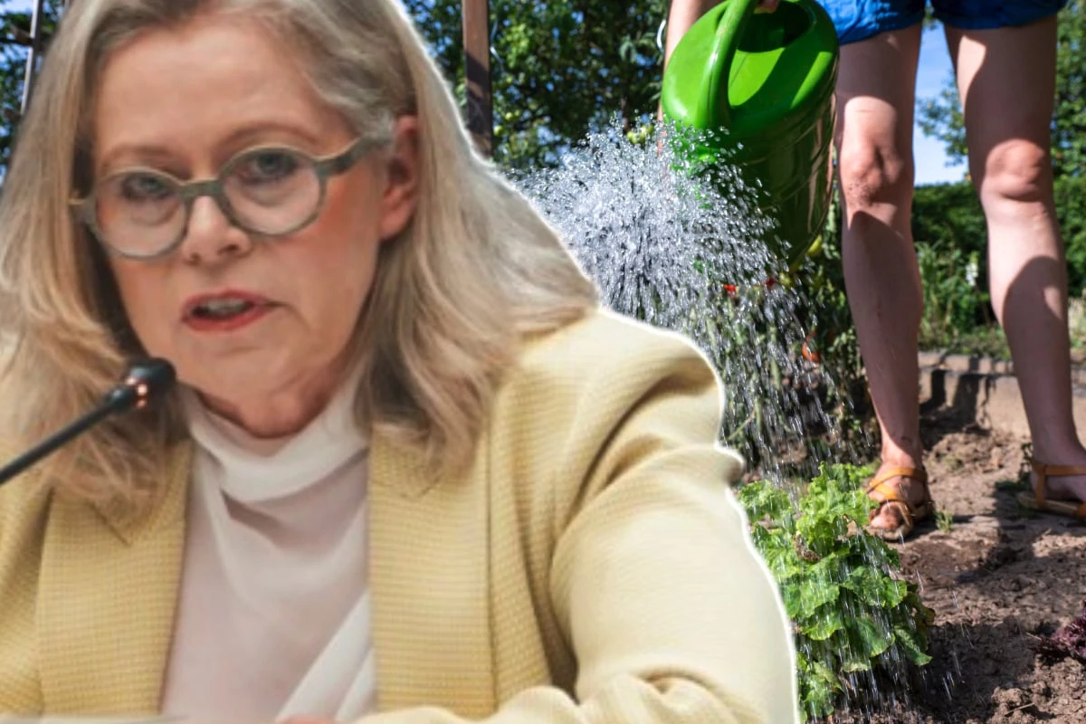 Kleingärtner dürfen sich freuen! Falls ihre grüne Oase weichen muss, gibt's Ersatz